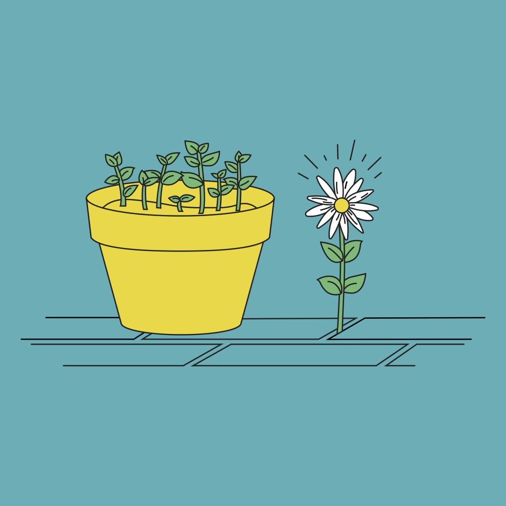 student enrollment decline