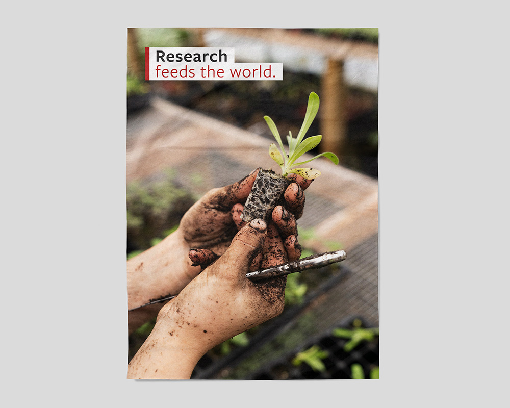 research matters wordmark